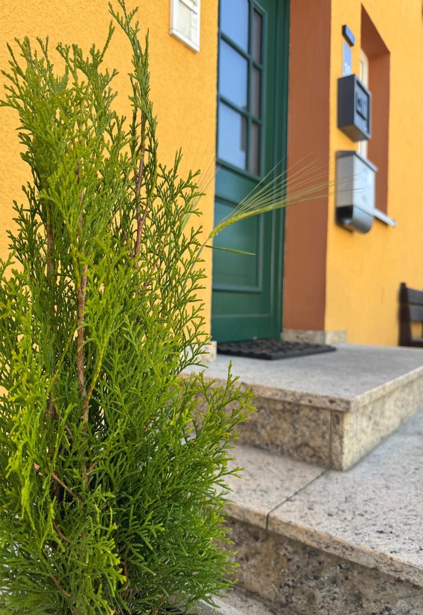 Mainsommer Kemmern Dış mekan fotoğraf